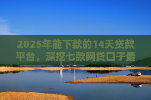 2025年能下款的14天贷款平台，深挖七款网贷口子最容易下款