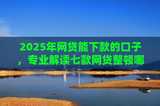 2025年网贷能下款的口子，专业解读七款网贷整顿哪些口子下款