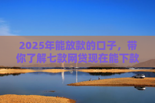 2025年能放款的口子，带你了解七款网贷现在能下款口子