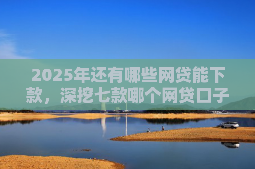 2025年还有哪些网贷能下款，深挖七款哪个网贷口子下款最快