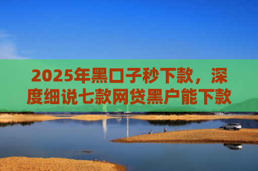 2025年黑口子秒下款，深度细说七款网贷黑户能下款口子