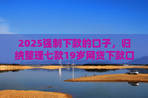 2025强制下款的口子，归纳整理七款19岁网贷下款口子