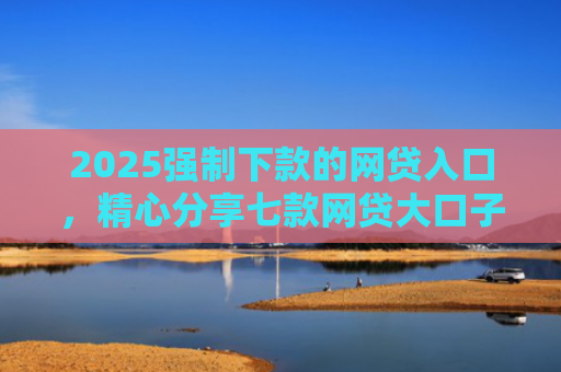 2025强制下款的网贷入口，精心分享七款网贷大口子能下款