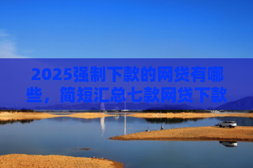 2025强制下款的网贷有哪些，简短汇总七款网贷下款高的口子