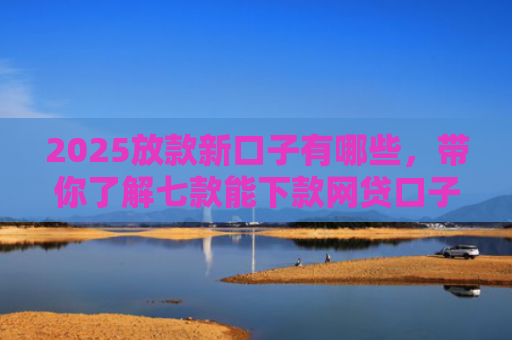 2025放款新口子有哪些，带你了解七款能下款网贷口子大全