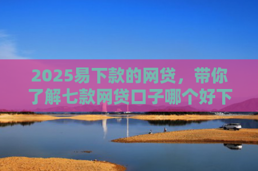 2025易下款的网贷，带你了解七款网贷口子哪个好下款论坛