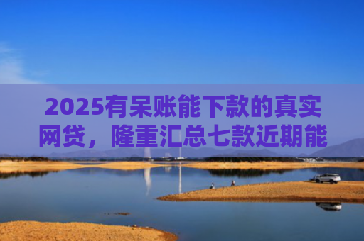 2025有呆账能下款的真实网贷，隆重汇总七款近期能下款的网贷口子