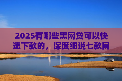 2025有哪些黑网贷可以快速下款的，深度细说七款网贷哪个口子好下款呢