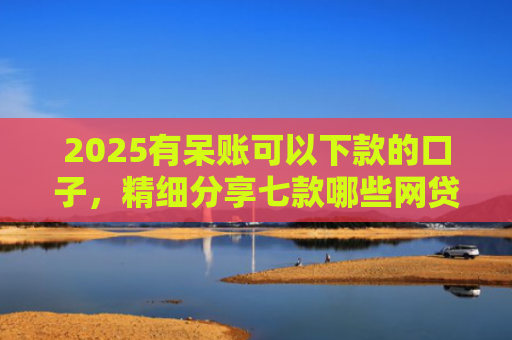 2025有呆账可以下款的口子，精细分享七款哪些网贷口子好下款的