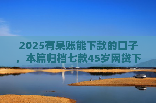2025有呆账能下款的口子，本篇归档七款45岁网贷下款的口子