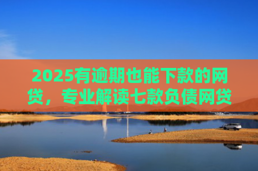 2025有逾期也能下款的网贷，专业解读七款负债网贷能下款的口子