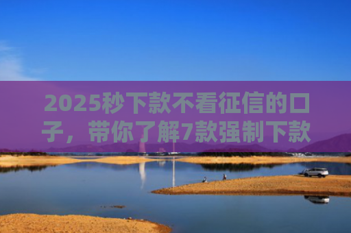 2025秒下款不看征信的口子，带你了解7款强制下款的网贷口子