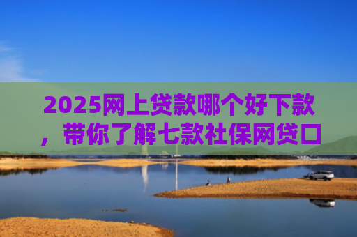 2025网上贷款哪个好下款，带你了解七款社保网贷口子那个下款快
