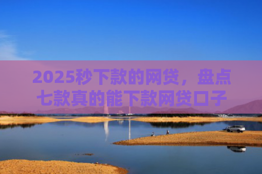 2025秒下款的网贷，盘点七款真的能下款网贷口子
