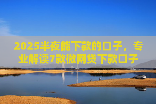 2025半夜能下款的口子，专业解读7款微网贷下款口子
