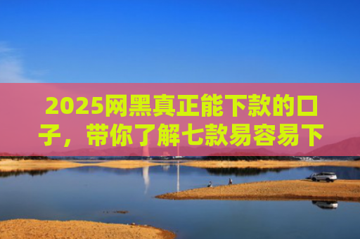 2025网黑真正能下款的口子，带你了解七款易容易下款的网贷口子
