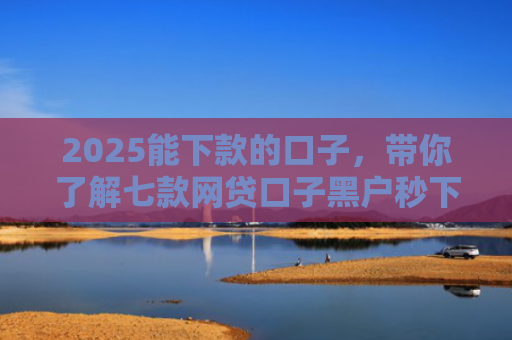 2025能下款的口子，带你了解七款网贷口子黑户秒下款