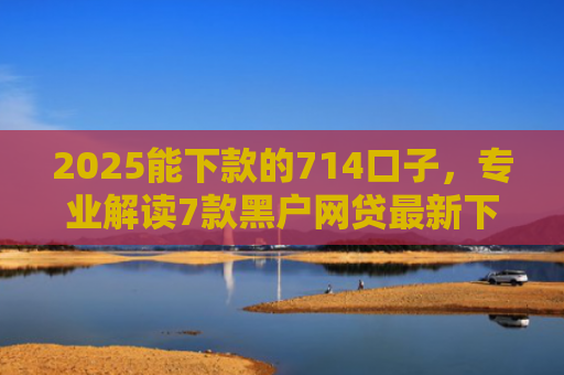 2025能下款的714口子，专业解读7款黑户网贷最新下款口子