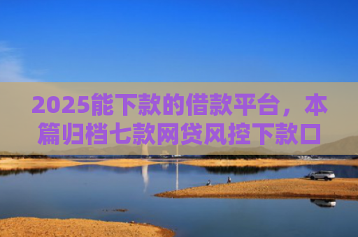 2025能下款的借款平台，本篇归档七款网贷风控下款口子
