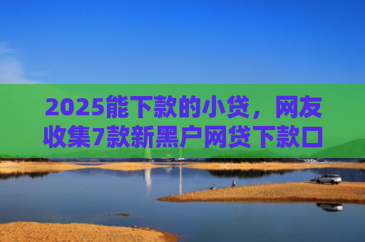 2025能下款的小贷，网友收集7款新黑户网贷下款口子