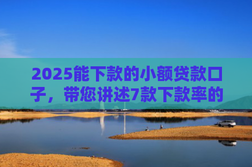 2025能下款的小额贷款口子，带您讲述7款下款率的网贷口子