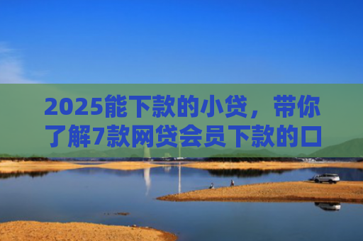 2025能下款的小贷，带你了解7款网贷会员下款的口子