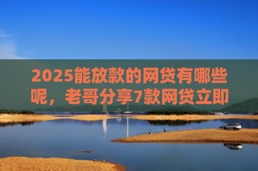 2025能放款的网贷有哪些呢，老哥分享7款网贷立即下款的口子