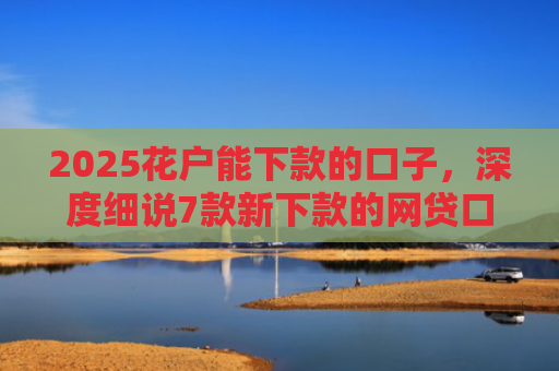 2025花户能下款的口子，深度细说7款新下款的网贷口子