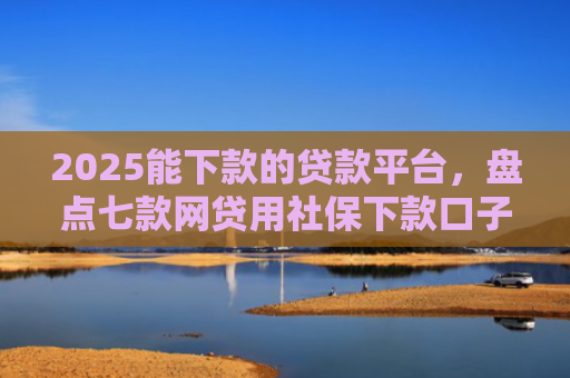 2025能下款的贷款平台，盘点七款网贷用社保下款口子