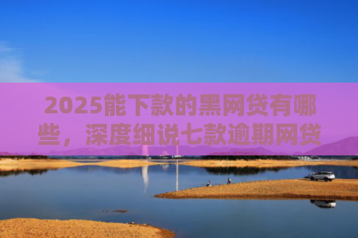 2025能下款的黑网贷有哪些，深度细说七款逾期网贷下款贷款口子