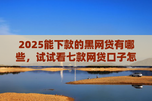 2025能下款的黑网贷有哪些，试试看七款网贷口子怎么好下款