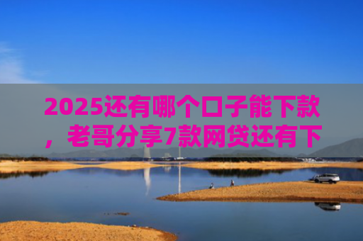 2025还有哪个口子能下款，老哥分享7款网贷还有下款口子吗