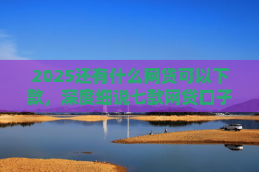 2025还有什么网贷可以下款，深度细说七款网贷口子下款快容易