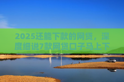 2025还能下款的网贷，深度细说7款网贷口子马上下款