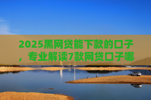 2025黑网贷能下款的口子，专业解读7款网贷口子哪些好下款