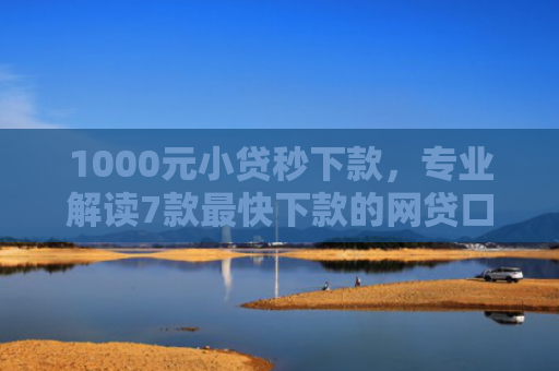 1000元小贷秒下款，专业解读7款最快下款的网贷口子