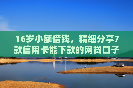 16岁小额借钱，精细分享7款信用卡能下款的网贷口子