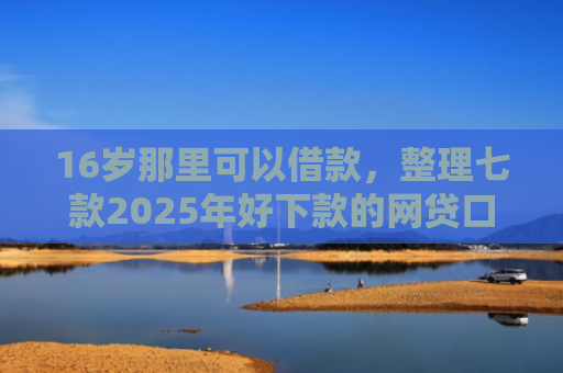 16岁那里可以借款，整理七款2025年好下款的网贷口子