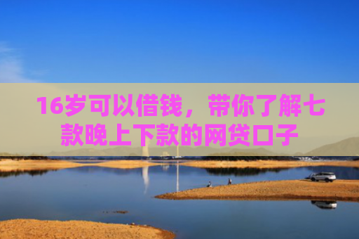 16岁可以借钱，带你了解七款晚上下款的网贷口子