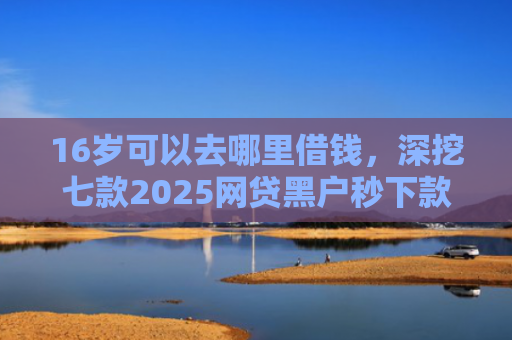 16岁可以去哪里借钱，深挖七款2025网贷黑户秒下款的口子