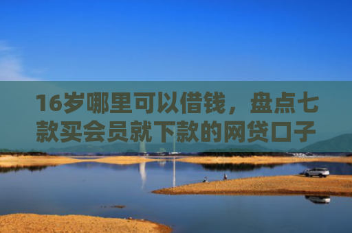 16岁哪里可以借钱，盘点七款买会员就下款的网贷口子