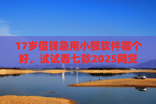 17岁借钱急用小额软件哪个好，试试看七款2025网贷下款口子