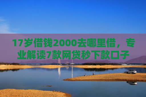 17岁借钱2000去哪里借，专业解读7款网贷秒下款口子