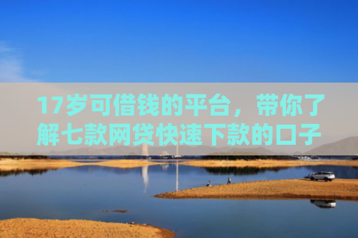 17岁可借钱的平台，带你了解七款网贷快速下款的口子