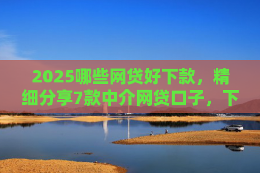 2025哪些网贷好下款，精细分享7款中介网贷口子，下款高