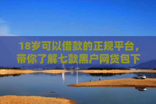 18岁可以借款的正规平台，带你了解七款黑户网贷包下款口子