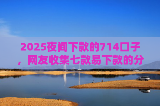 2025夜间下款的714口子，网友收集七款易下款的分期网贷口子