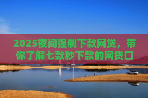 2025夜间强制下款网贷，带你了解七款秒下款的网贷口子大全