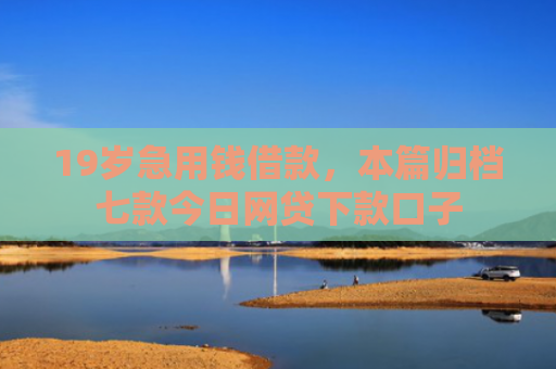 19岁急用钱借款，本篇归档七款今日网贷下款口子