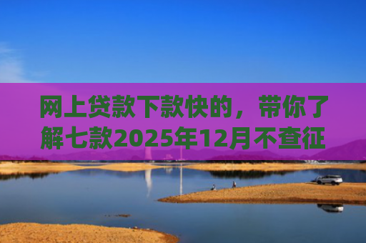 网上贷款下款快的，带你了解七款2025年12月不查征信好下款的app